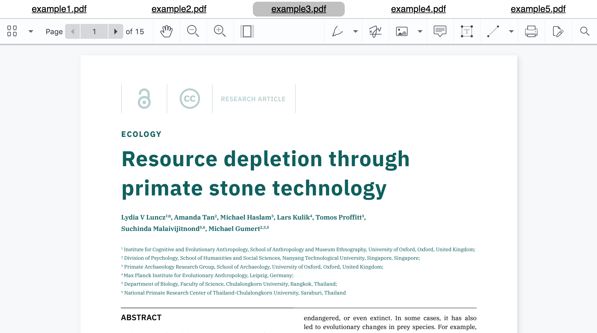 Screenshot of PDF viewer on GatsbyJS site