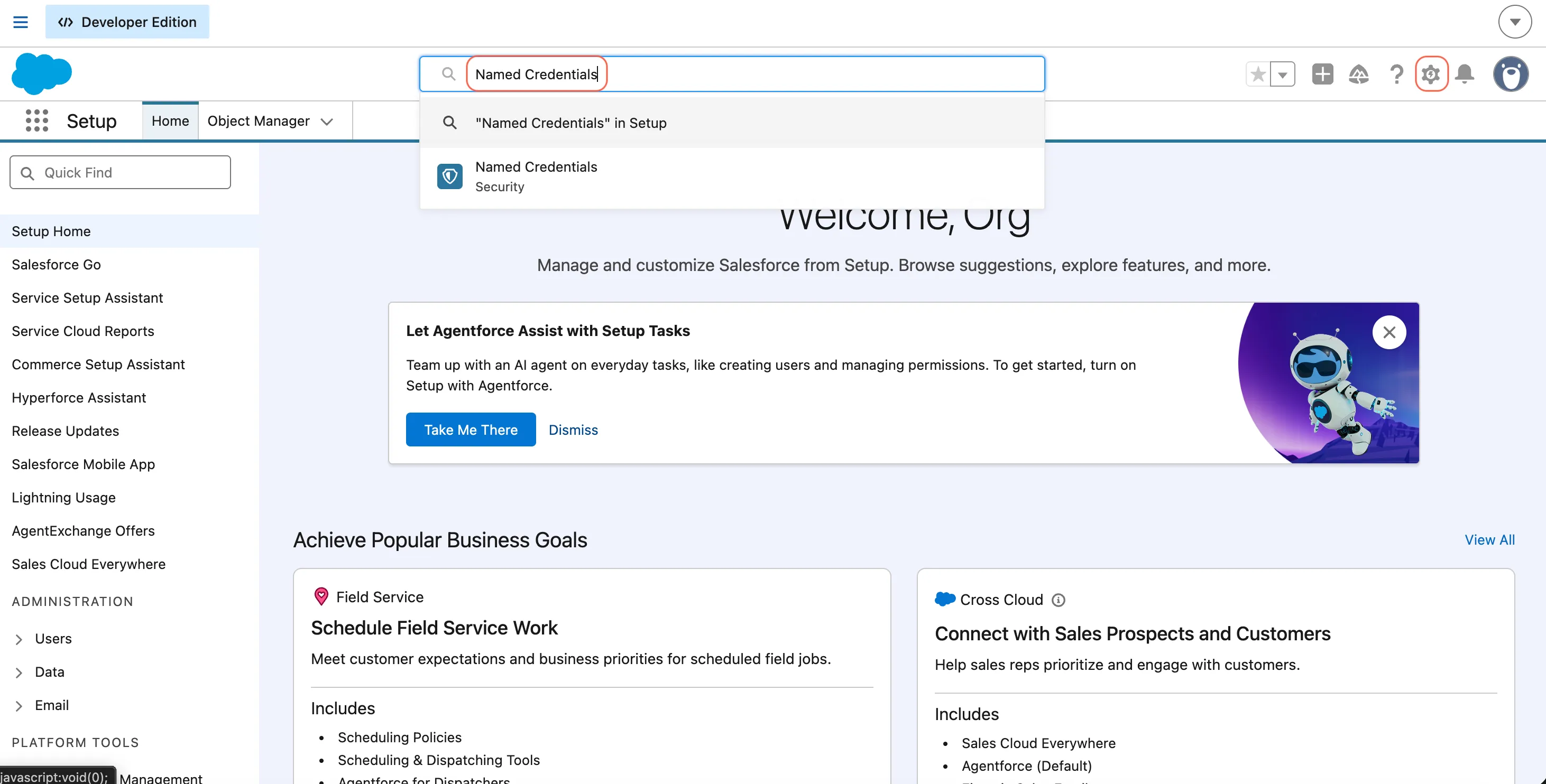 Salesforce Setup showing Named Credentials in Quick Find
