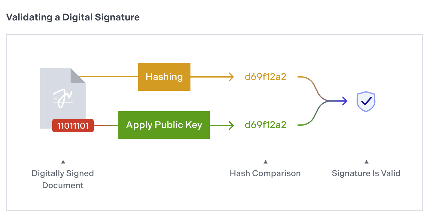 Validating a signature by comparing the document’s hash to the result of applying the public key to the hash.