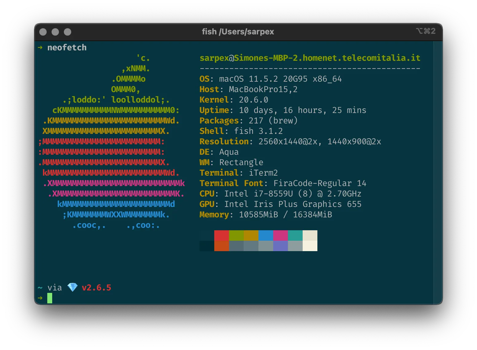 Simone’s colorful iTerm2 terminal.