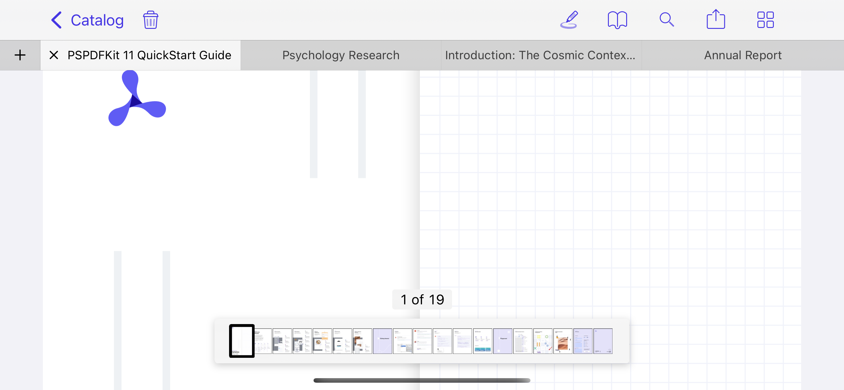 UI of Nutrient iOS framework showing a tabbed bar along the top, which resembles the navigation bar