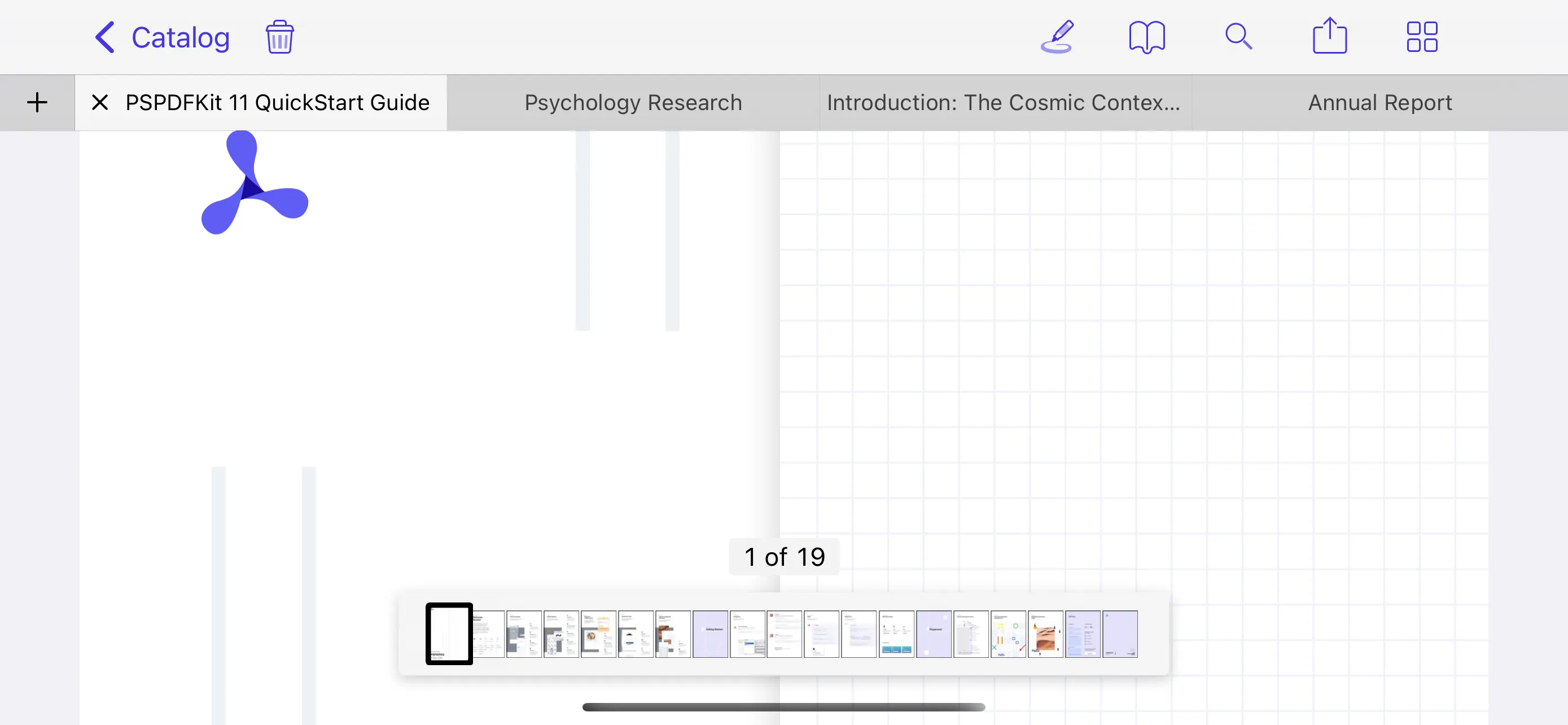 UI of Nutrient iOS framework showing a tabbed bar along the top, which resembles the navigation bar