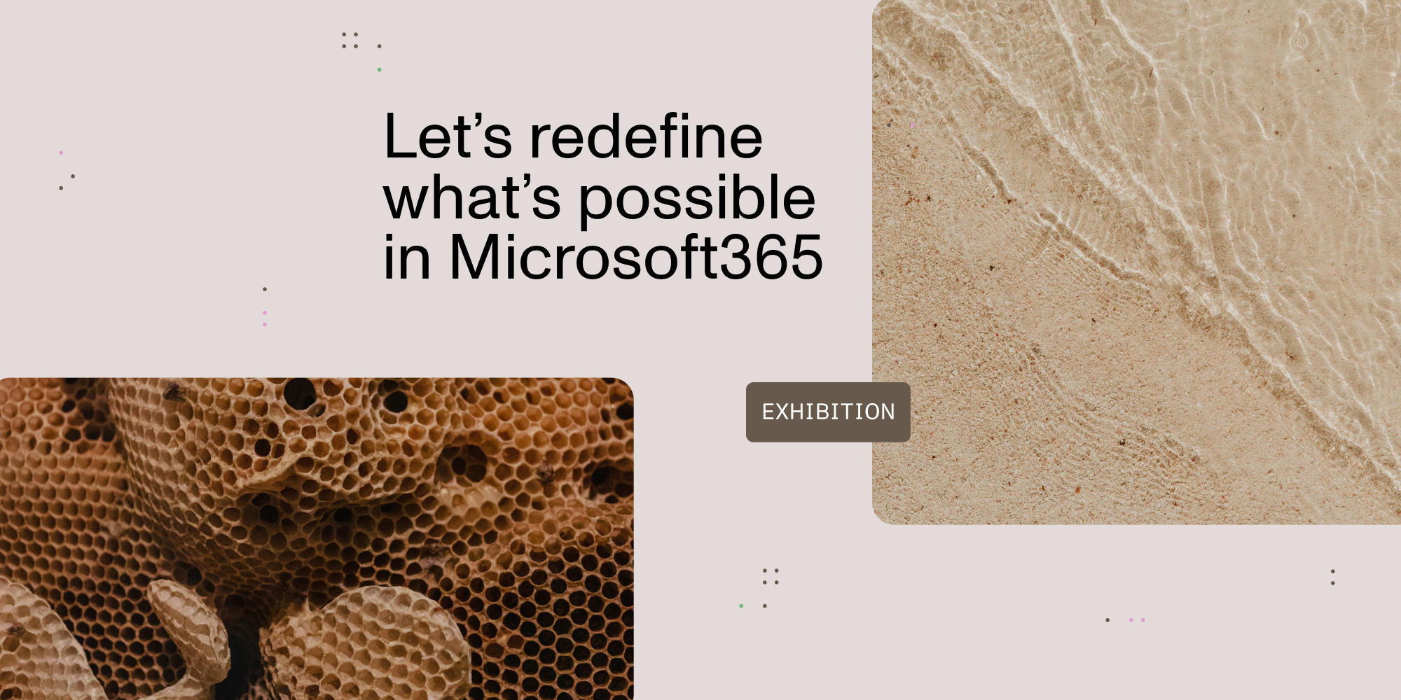 Nutrient at TechCon 365 Seattle