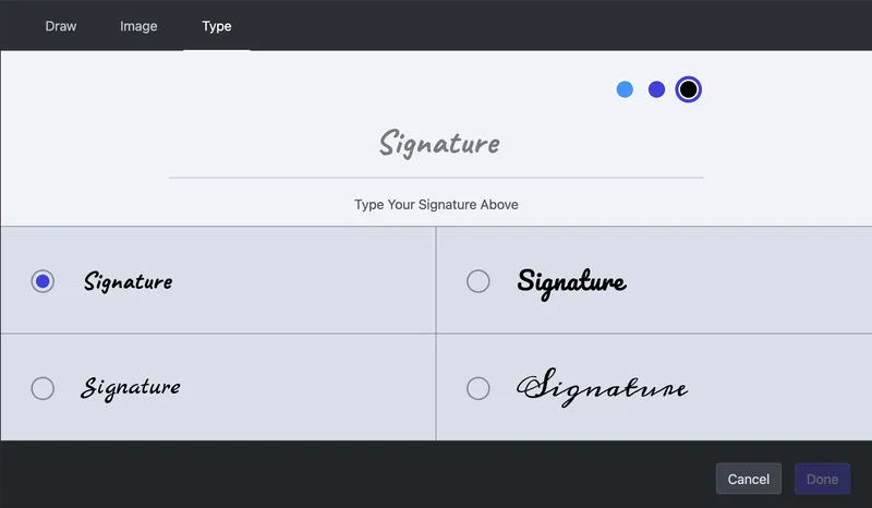 The type panel in the signature interface