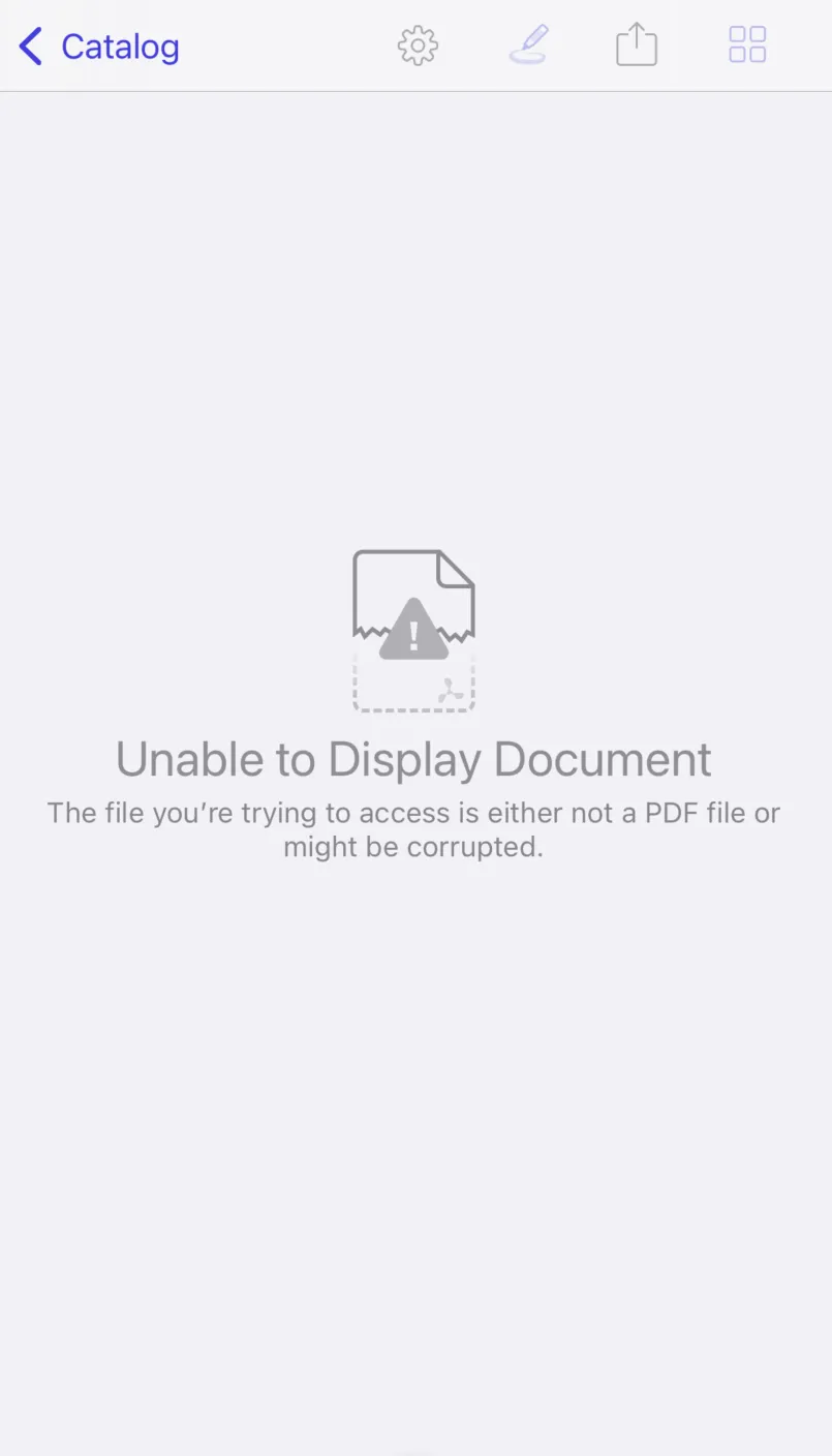 unable to display document