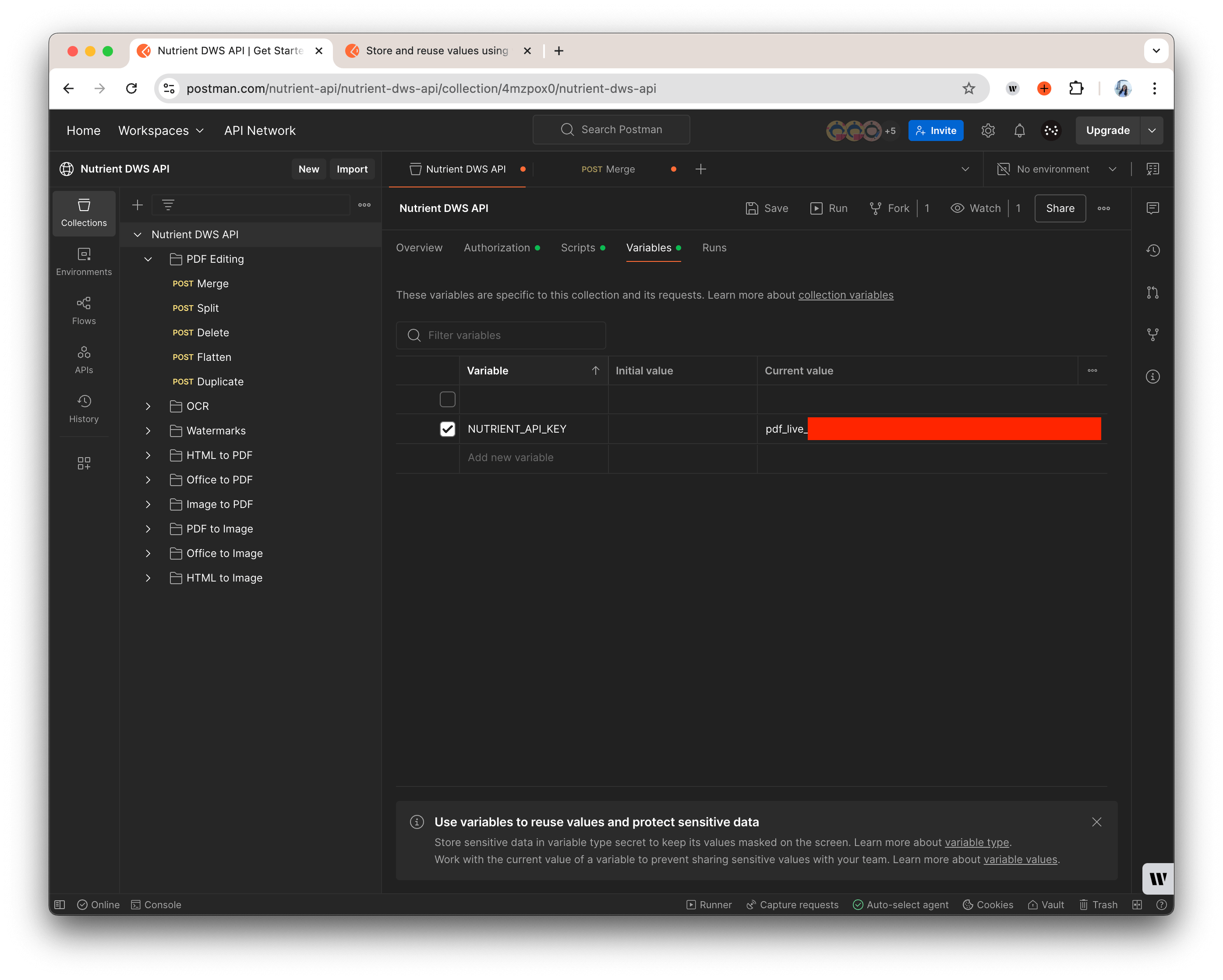 Screenshot of the Variables tab in Postman showing the creation of a new variable named NUTRIENT_API_KEY