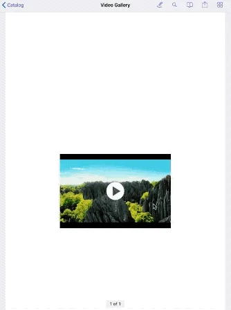 Video Gallery GIF