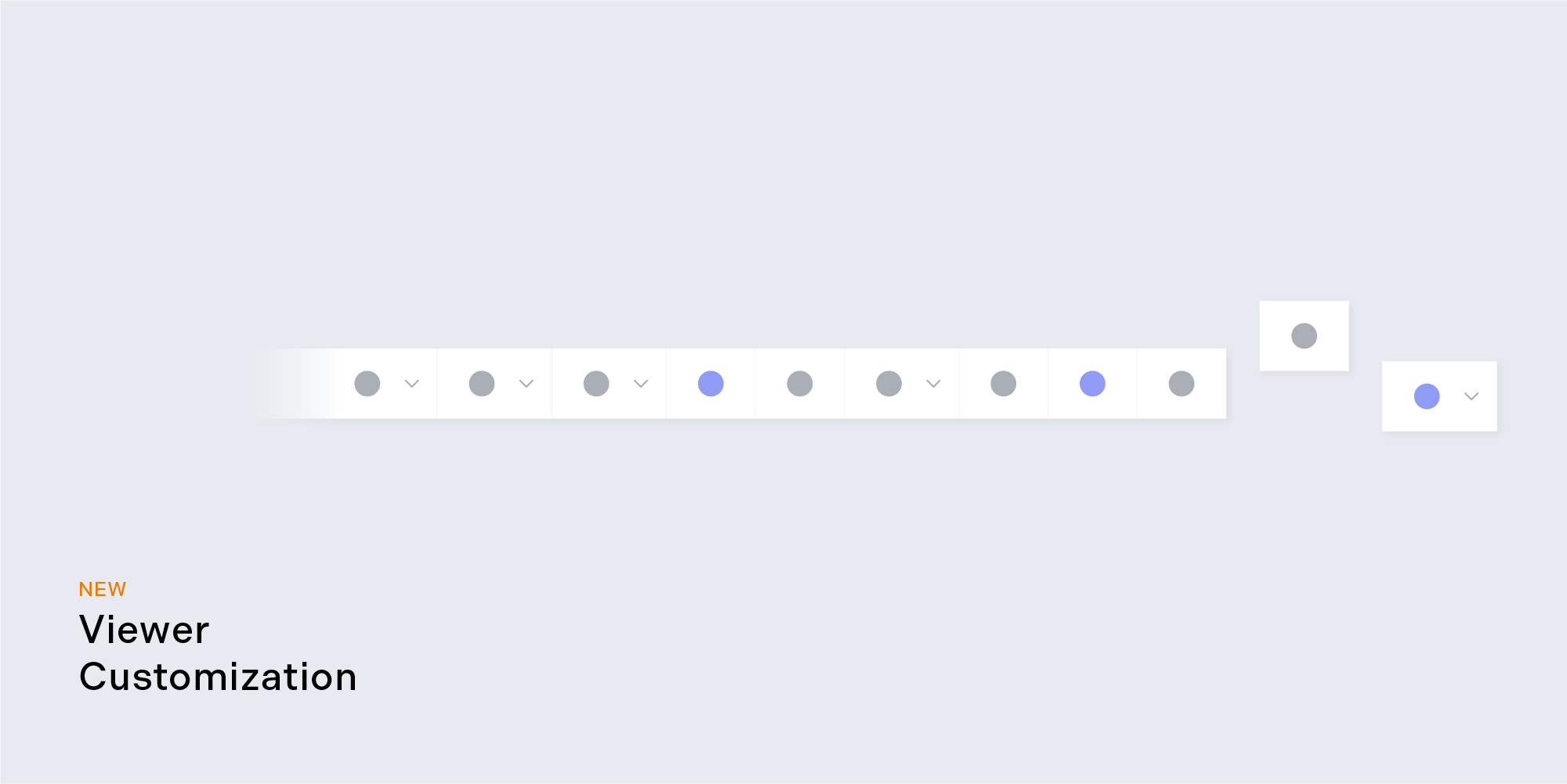 Viewer Customization
