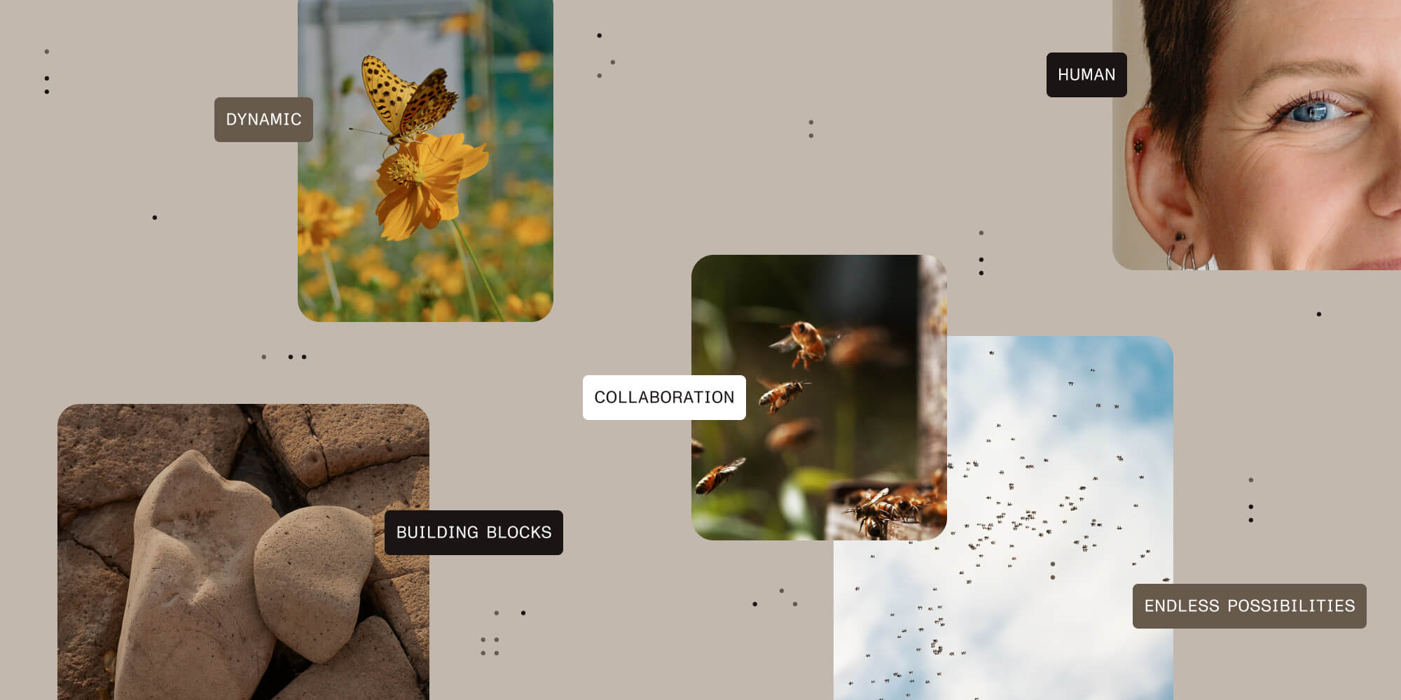 Visual guiding principles