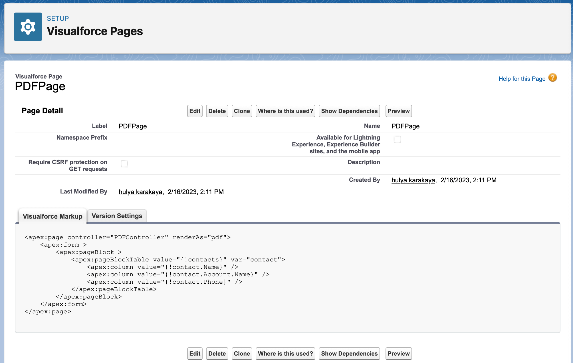 Screenshot showing a preview of the PDF