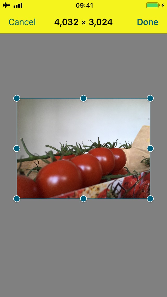 Yellow navigation bar