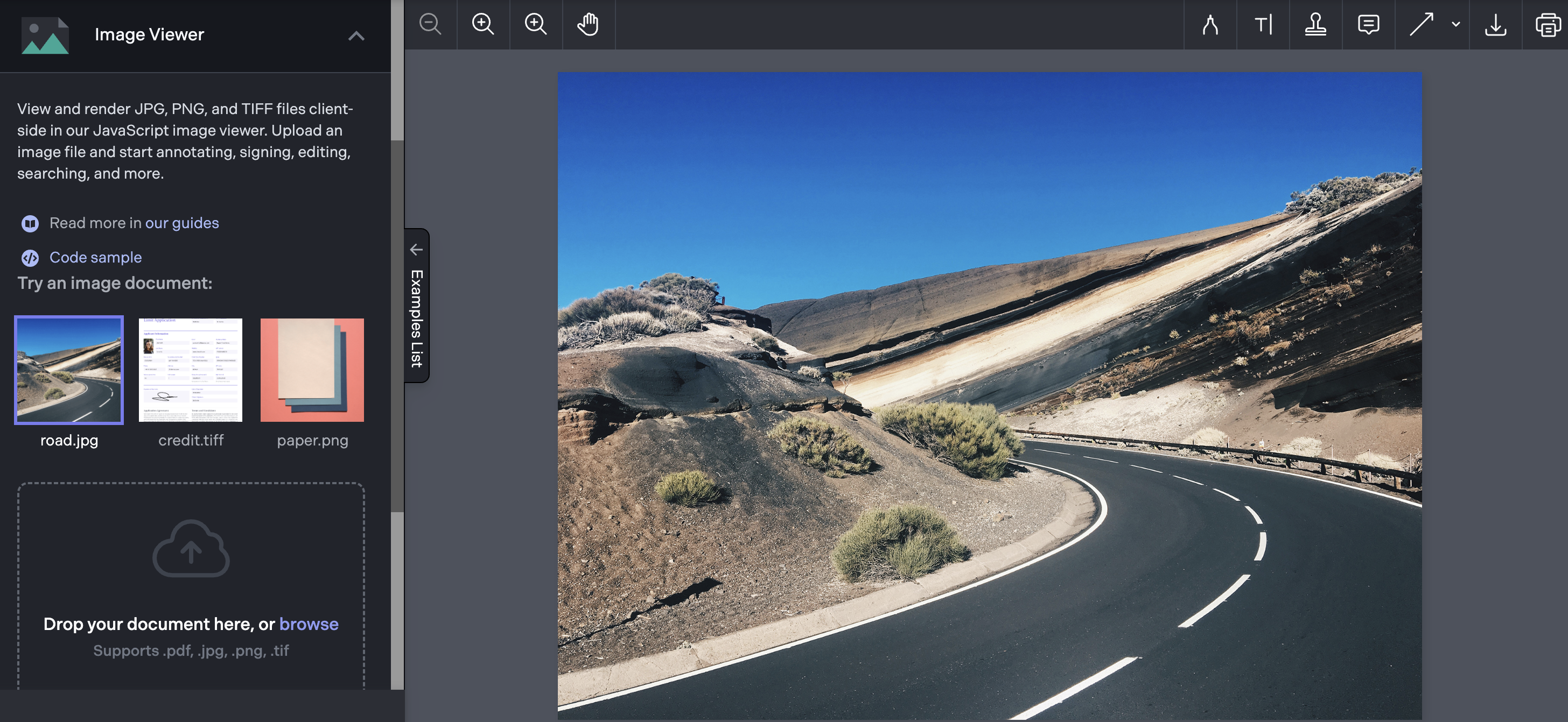 image-viewer